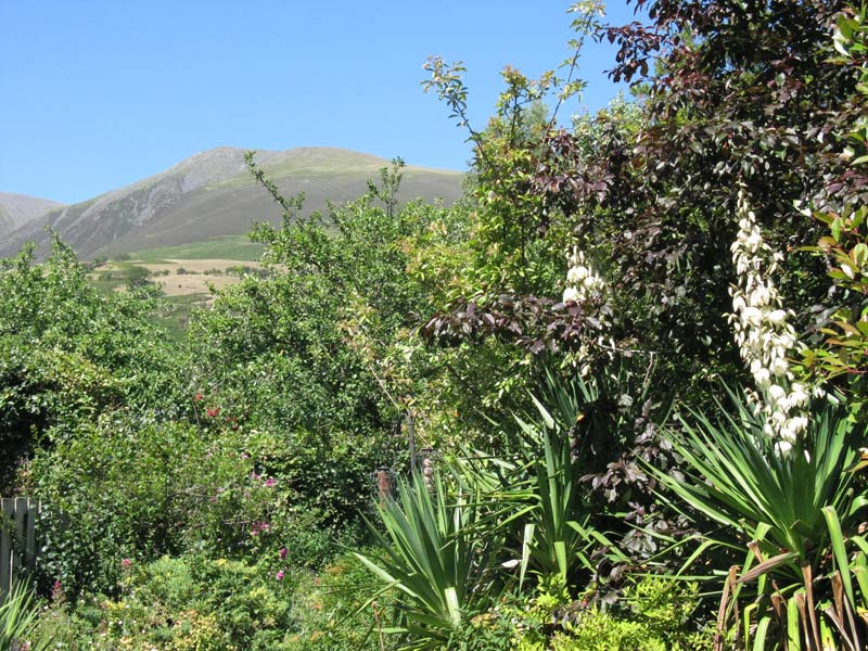 Croft Corner garden and the view to Skiddaw