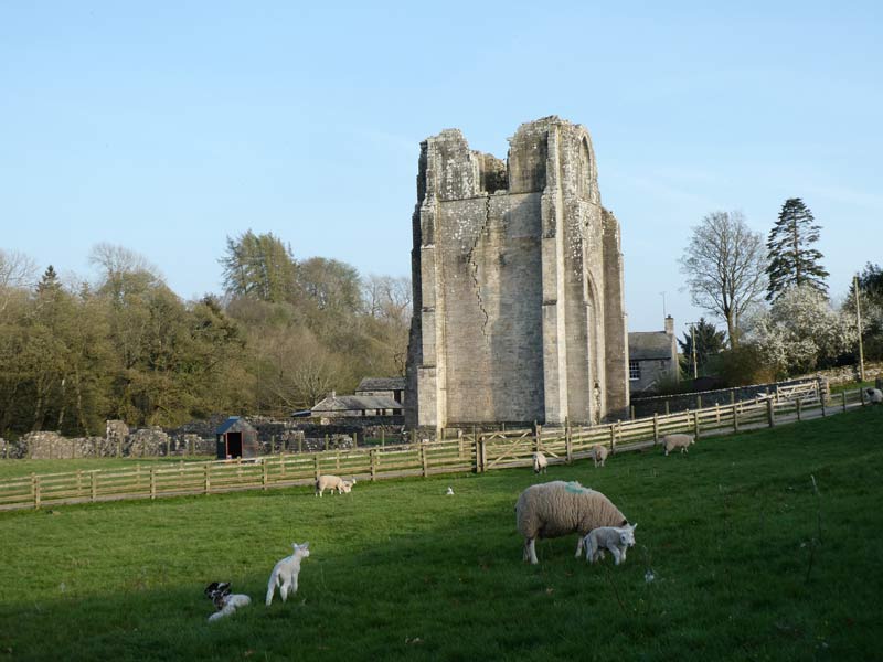 Shap Abbey
